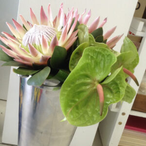King Proteas & Antherium