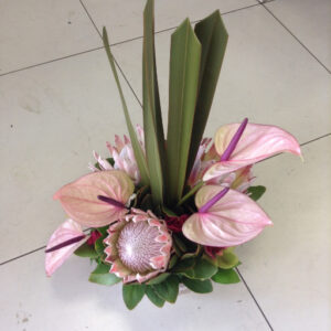 Modern Arrangement & Proteas