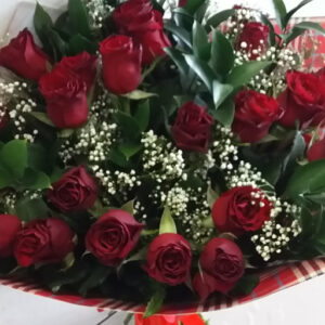Falling in Love (Red Roses & Baby’s Breath)