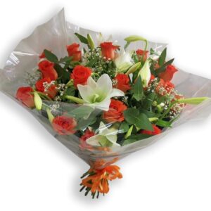 Orange Roses