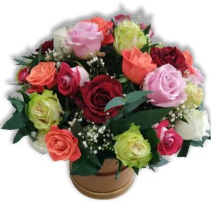 Mixed Roses